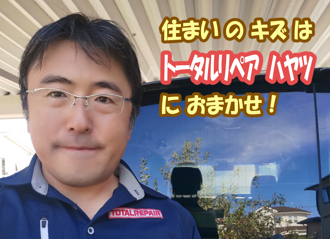 紹介写真3